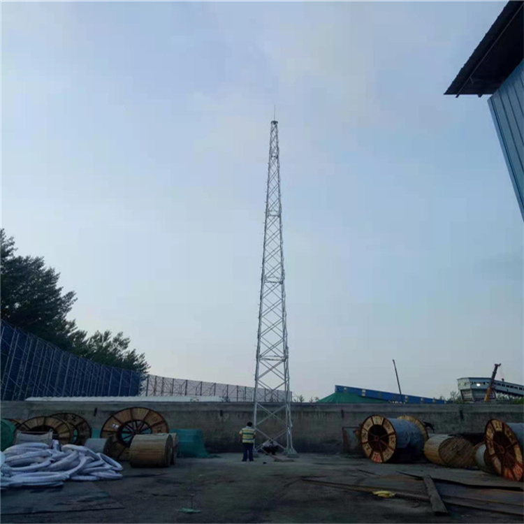 山西30米避雷線塔型