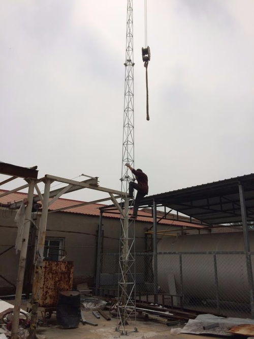 西藏30米避雷線塔總