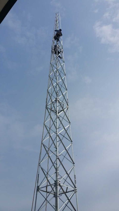 20米避雷針?biāo)r格